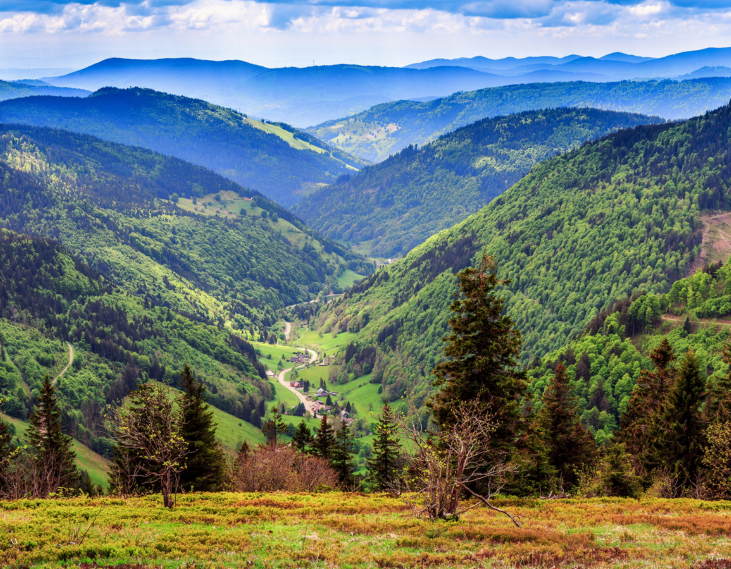 Schwarzwald (4)