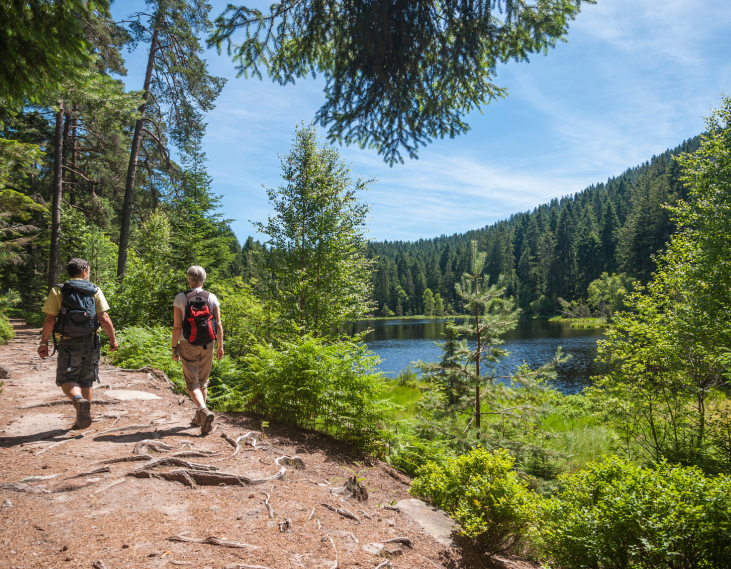 Schwarzwald (5)